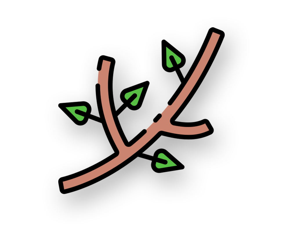 Services élagage branche d'arbres