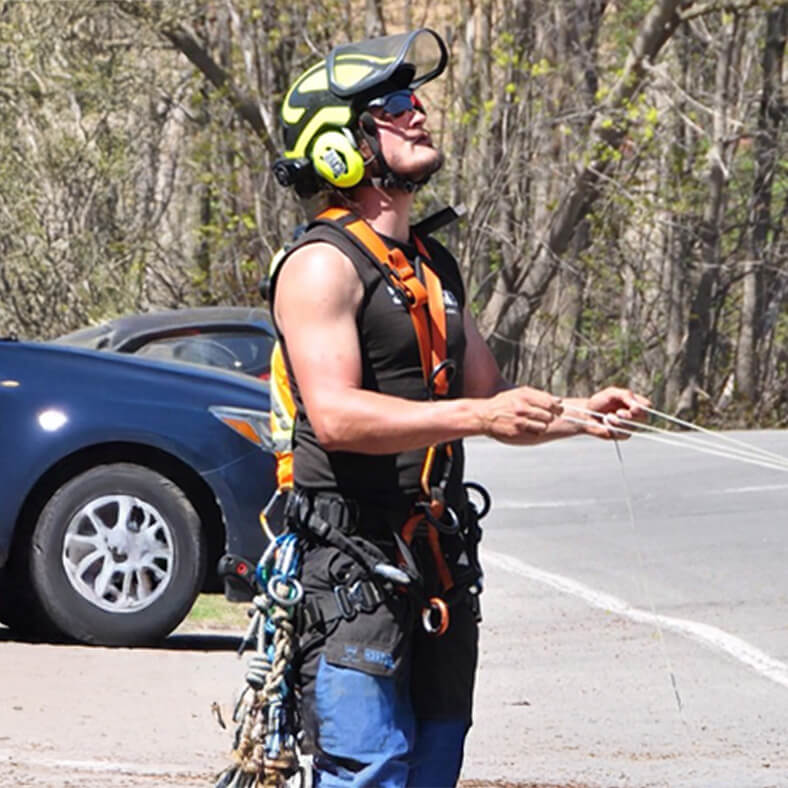 Expert en travail arboricole en hauteur, d'arbre centenaire ou près des fils électrique.